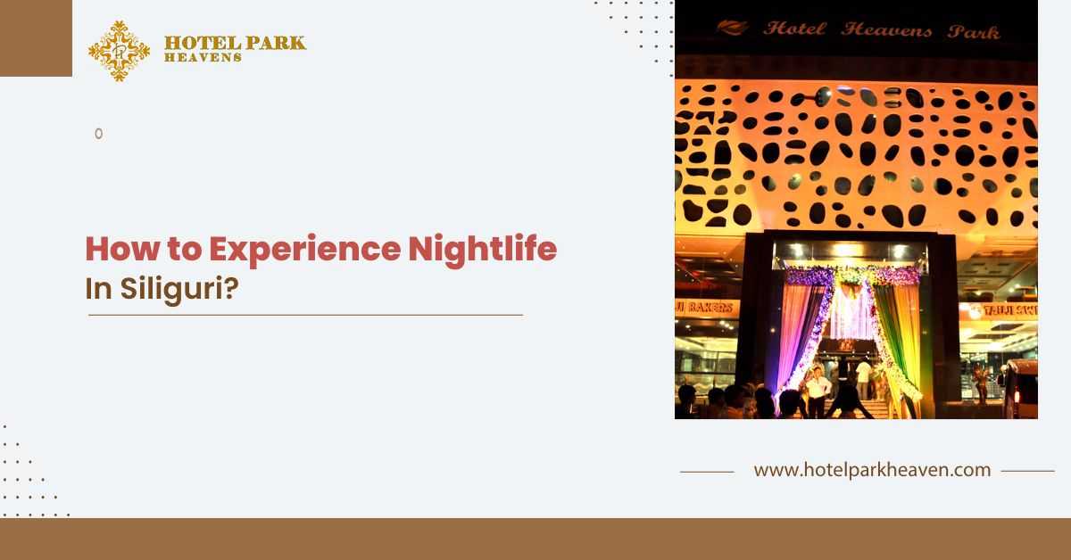 How to Experience Nightlife in Siliguri?