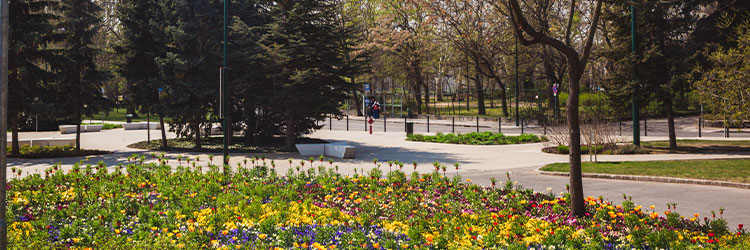 Surya Sen Park